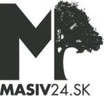 Masiv24 logo