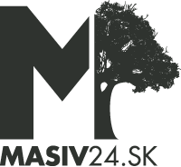 Masiv24 logo